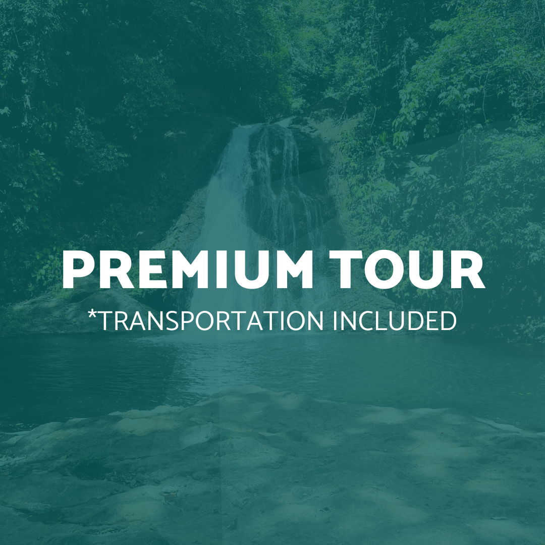 Tour Premium (Transporte incluido)