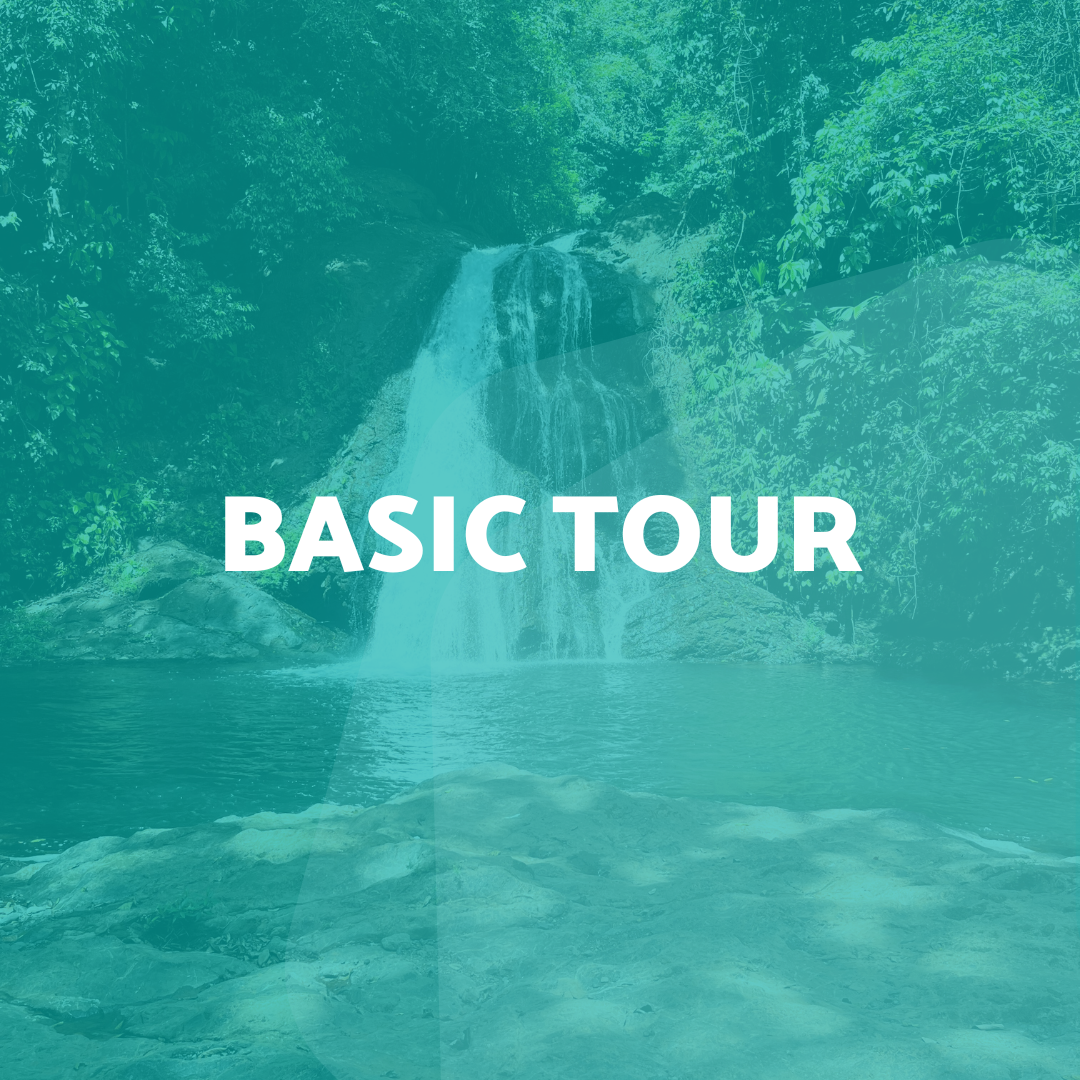 Museo Awa - Recorrido básico