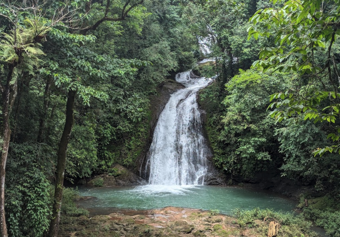 Museo Awa - Recorrido básico